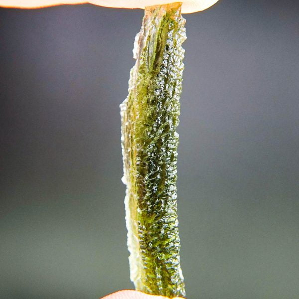 1.9" long Moldavite with CERTIFICATE - Glossy