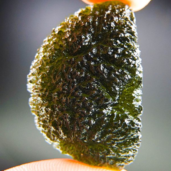 Big Certified Moldavite - Elipsoid - natural fragment shape