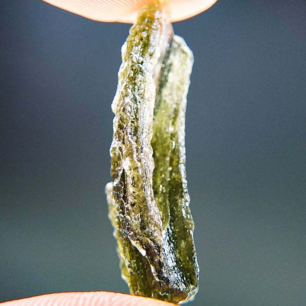 Moldavite with CERTIFICATE - Shiny