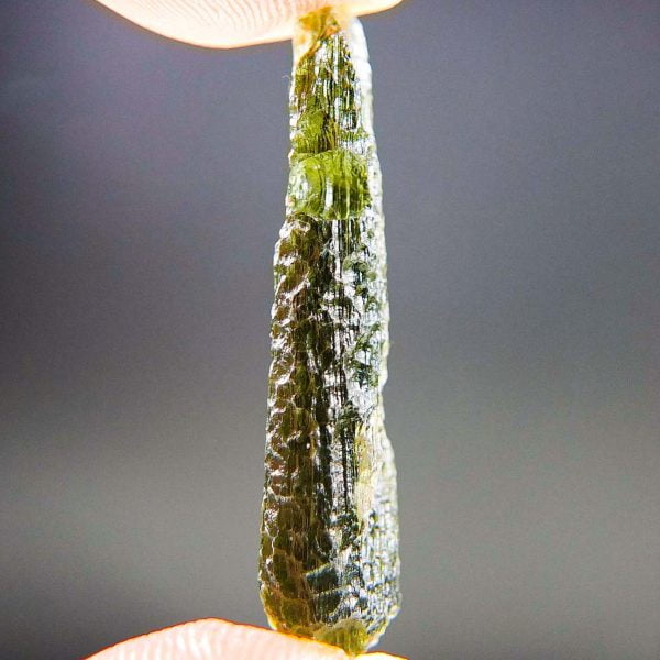 Moldavite with CERTIFICATE