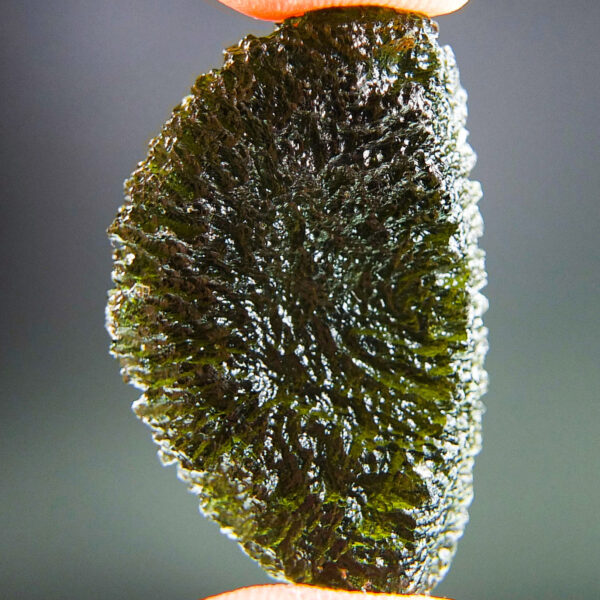 Certified Moldavite - Elipsoid - natural fragment shape