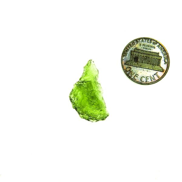 Moldavite with CERTIFICATE - Shiny - quality A+