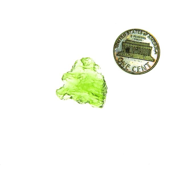 Moldavite with CERTIFICATE - Shiny