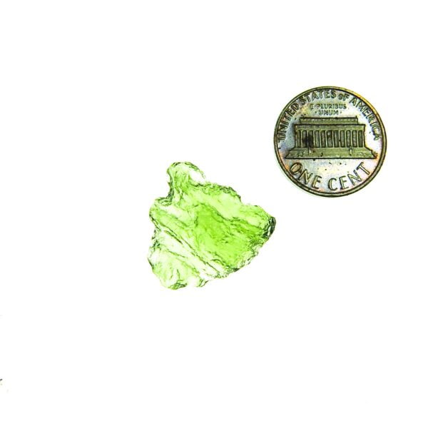 Moldavite with CERTIFICATE - Shiny