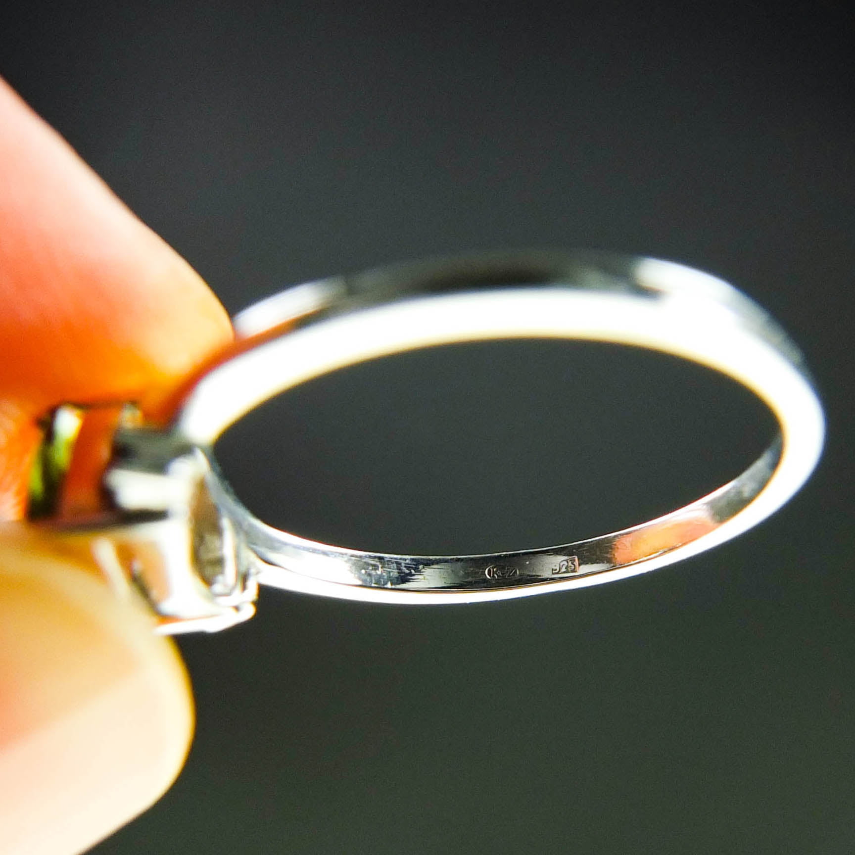 Ring - Moldavite + Silver + Red garnets - Certified