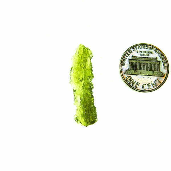 Moldavite with CERTIFICATE - Shiny