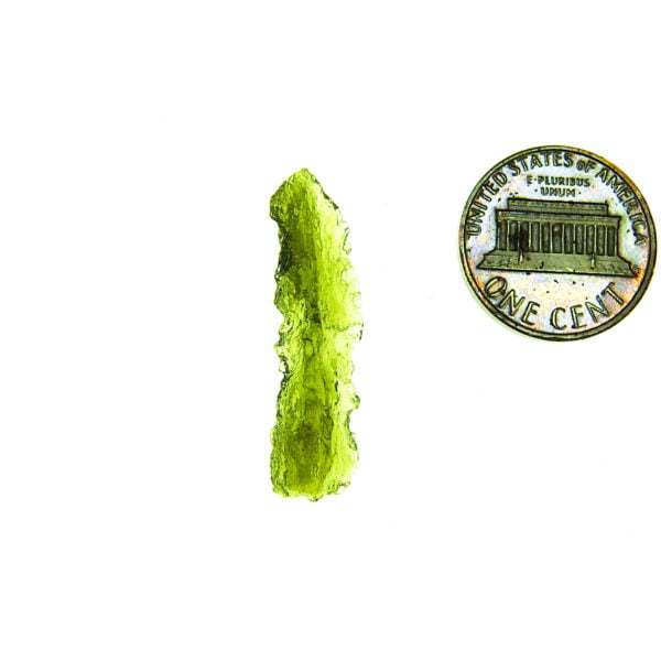 Moldavite with CERTIFICATE - Shiny