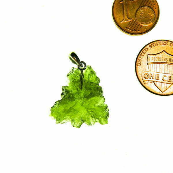 Moldavite pendant - Hedgehog from Besednice - Certified - quality A+/++