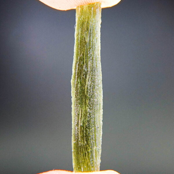 Moldavite with CERTIFICATE
