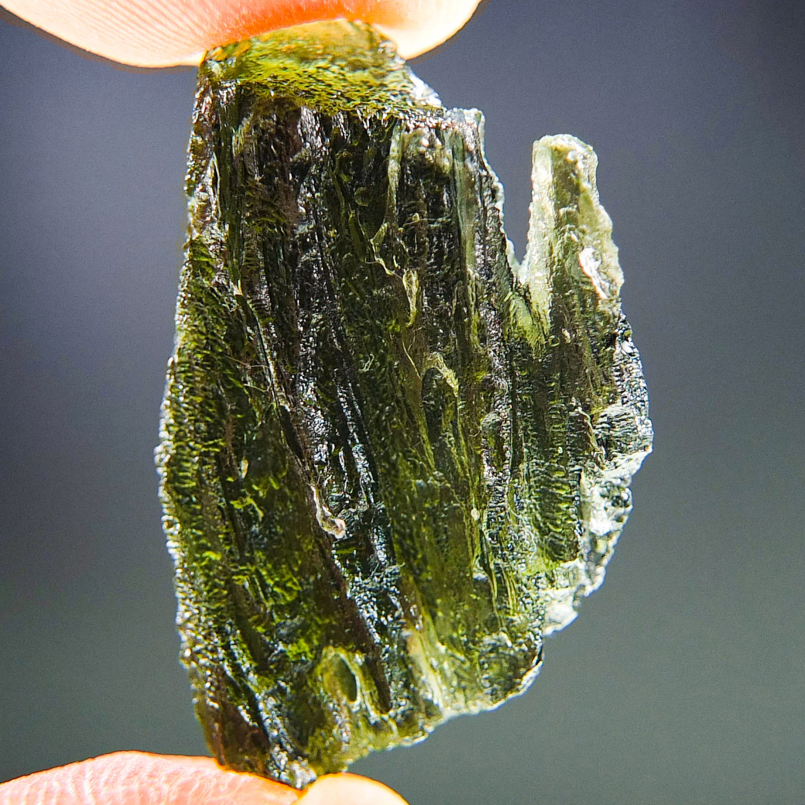 Moldavite with closed and open bubbles - Certified