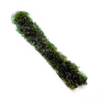 Dumbbell - moldavite shape